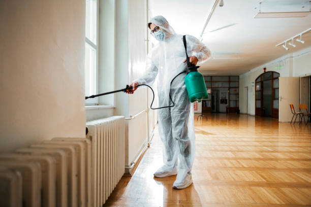 Best Fumigation Services  in Harper, TX